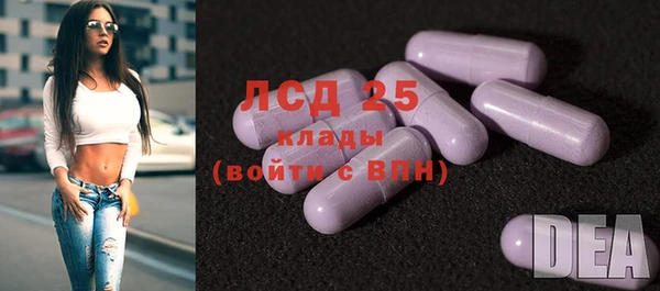 ешки Алексин