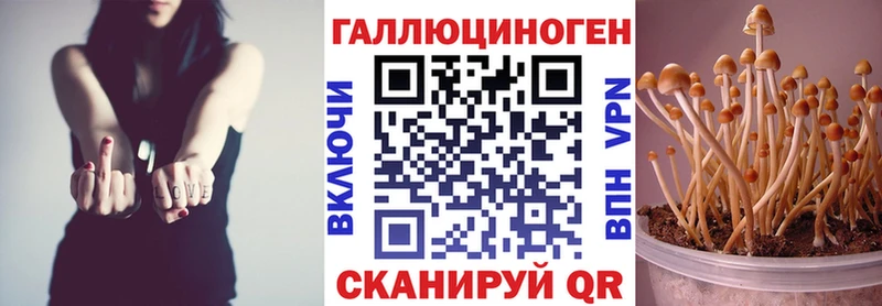 Псилоцибиновые грибы Cubensis  Кашин 